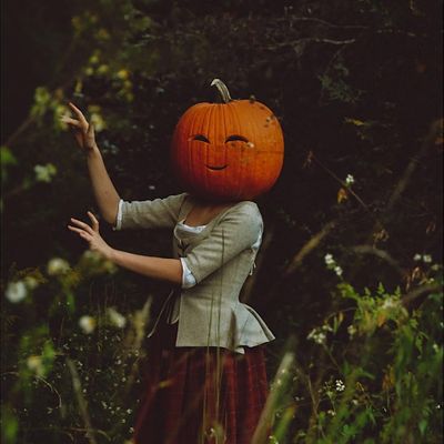 Wild Avalon Photography