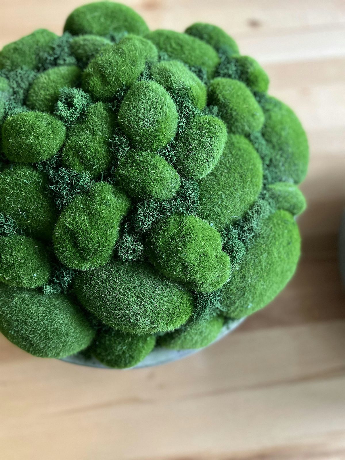 IN STUDIO - Coffee Table Moss Bowls