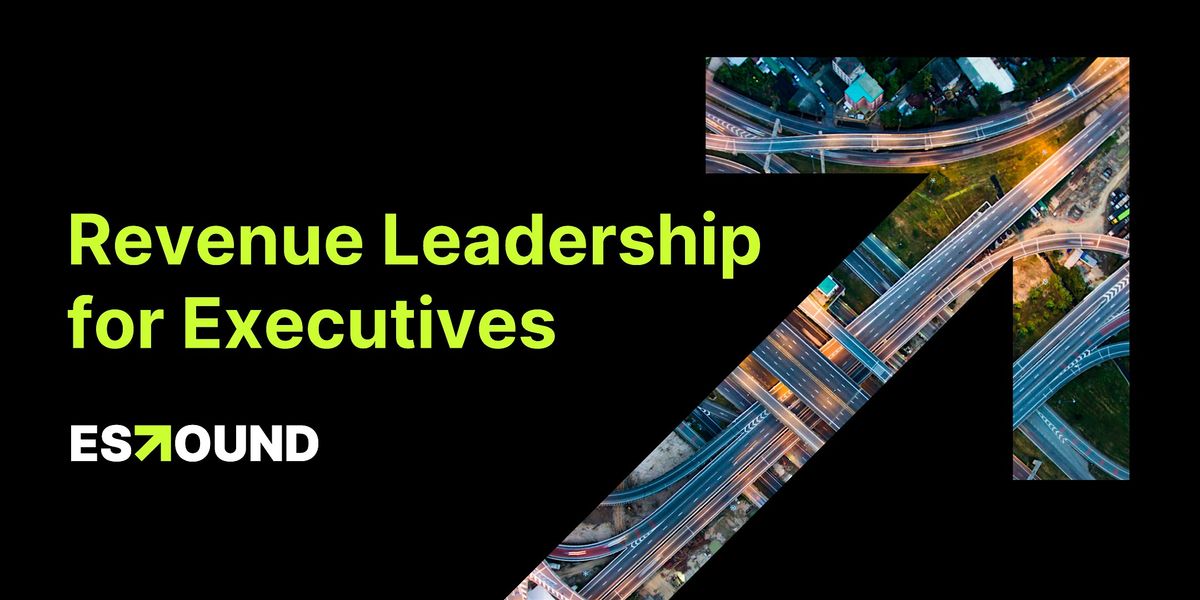 Revenue Leadership for Executives