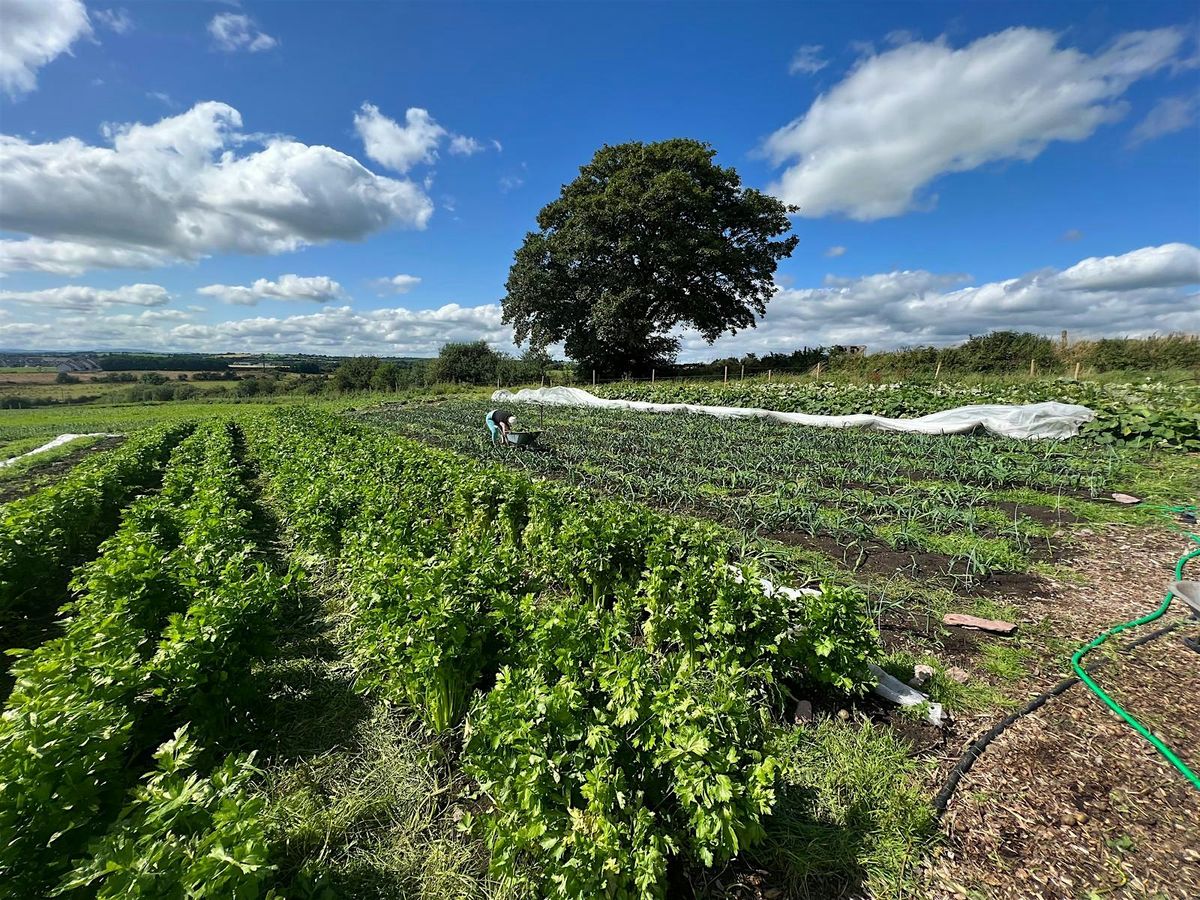 Picnic Tour Of Glenbrook Farm