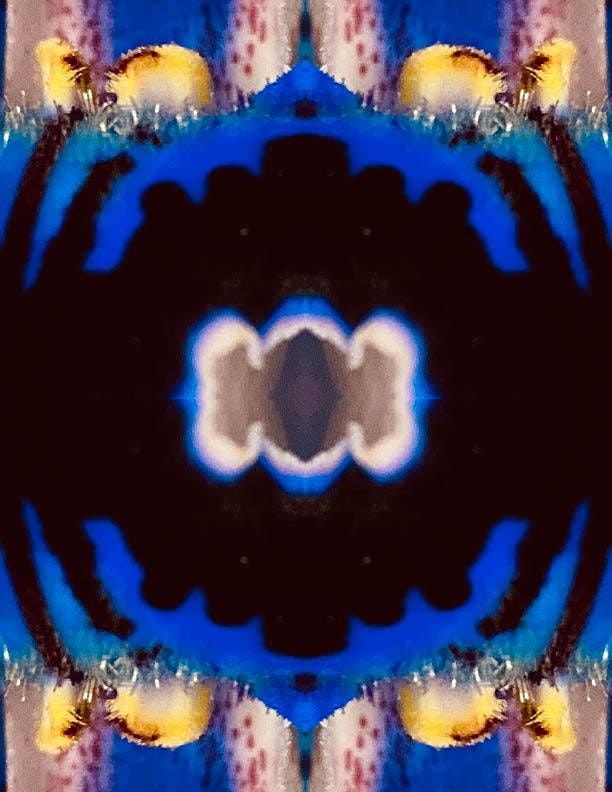 Individual Sound Therapy Sessions, Spiral Herbal Remedies, Brooklyn, 10