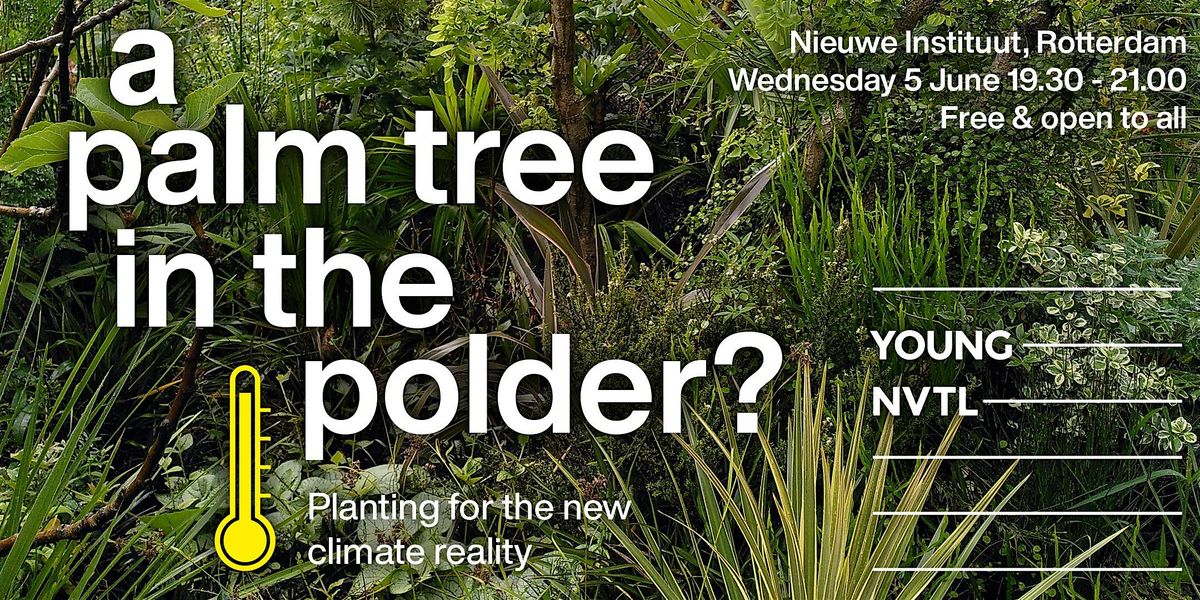 Young NVTL Debate: A palm tree in the polder? Planting for the new climate
