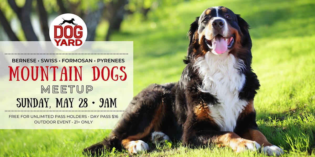 Mountain Dog Meetup at the Dog Yard Bar in Ballard Sunday, May 28, Dog Yard Bar, Seattle, 28