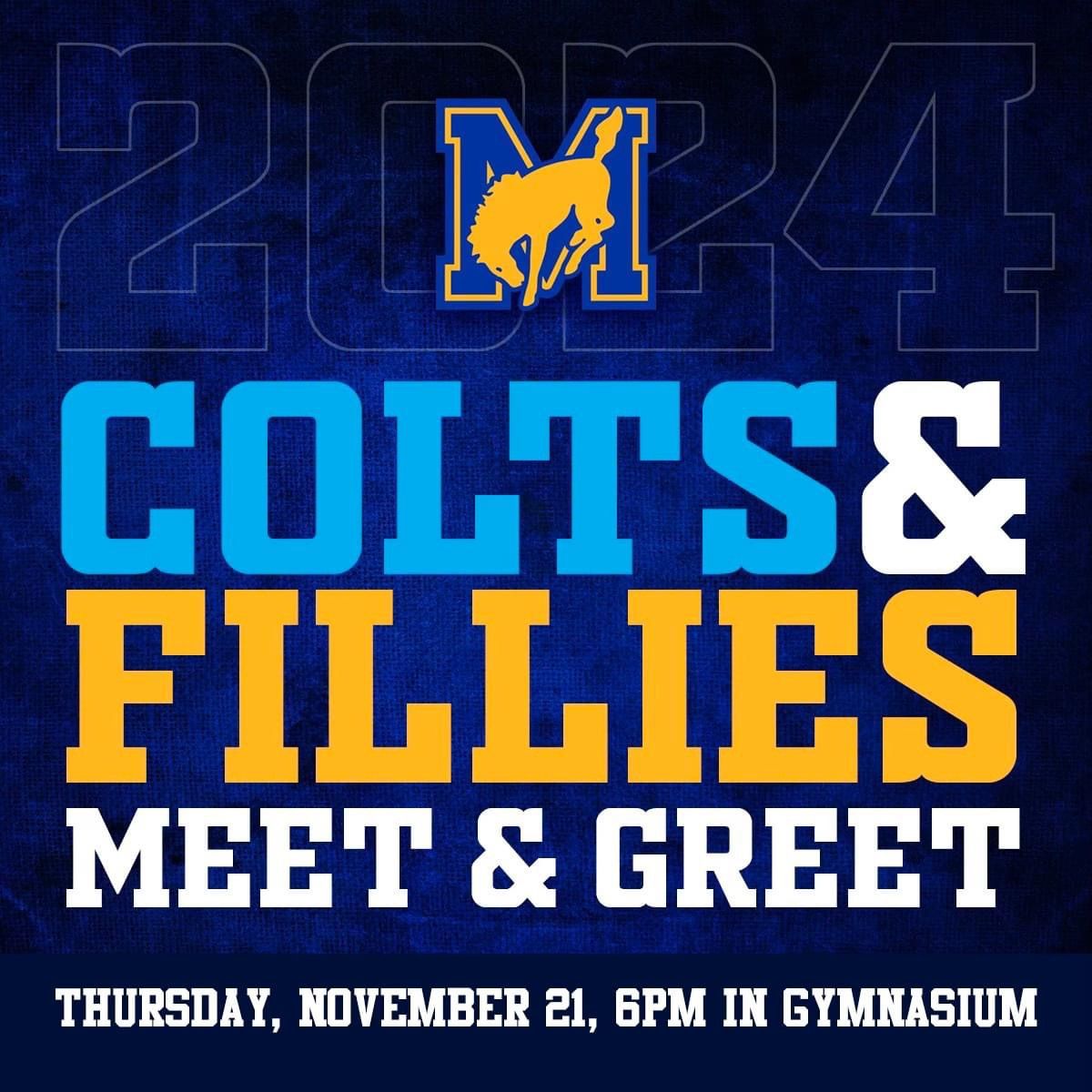 Meet the Colts & Fillies