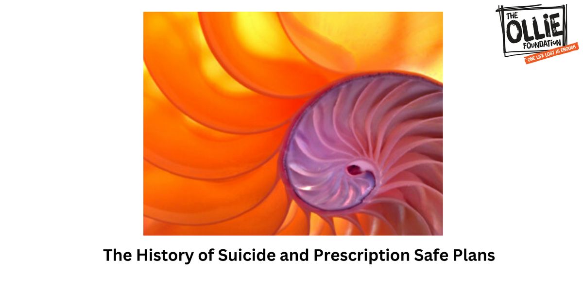 The History of Suicide and Prescription Safe Plans