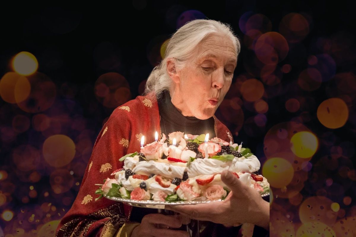 Jane Goodall - Vancouver