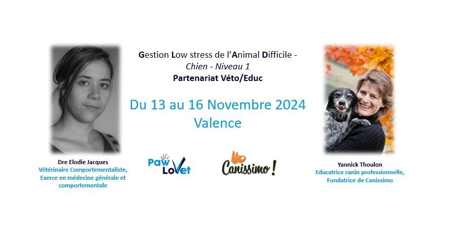 Gestion Low Stress de l'Animal Difficile - Chien -  Partenariat V\u00e9t\u00e9rinaire\/Educateur canin