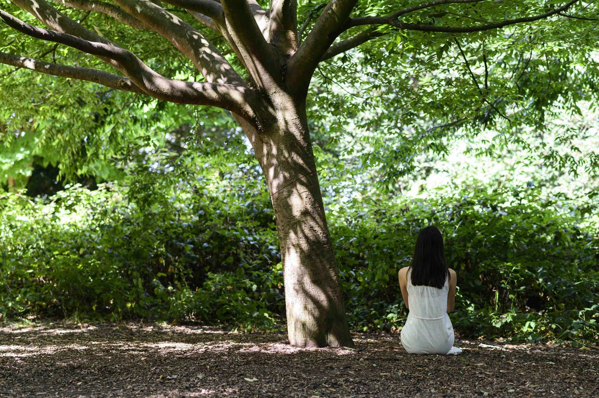 Embodying Earth - Meditation and Intuitive Movement class