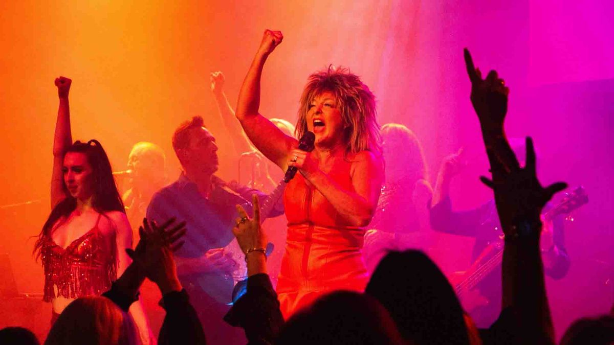 Tina Turner Tribute Night - Witham Essex 