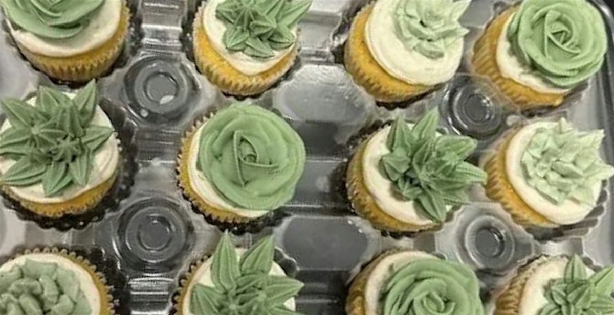 Mini Succulent Cupcake Decorating Class with Charcuterie in Houston