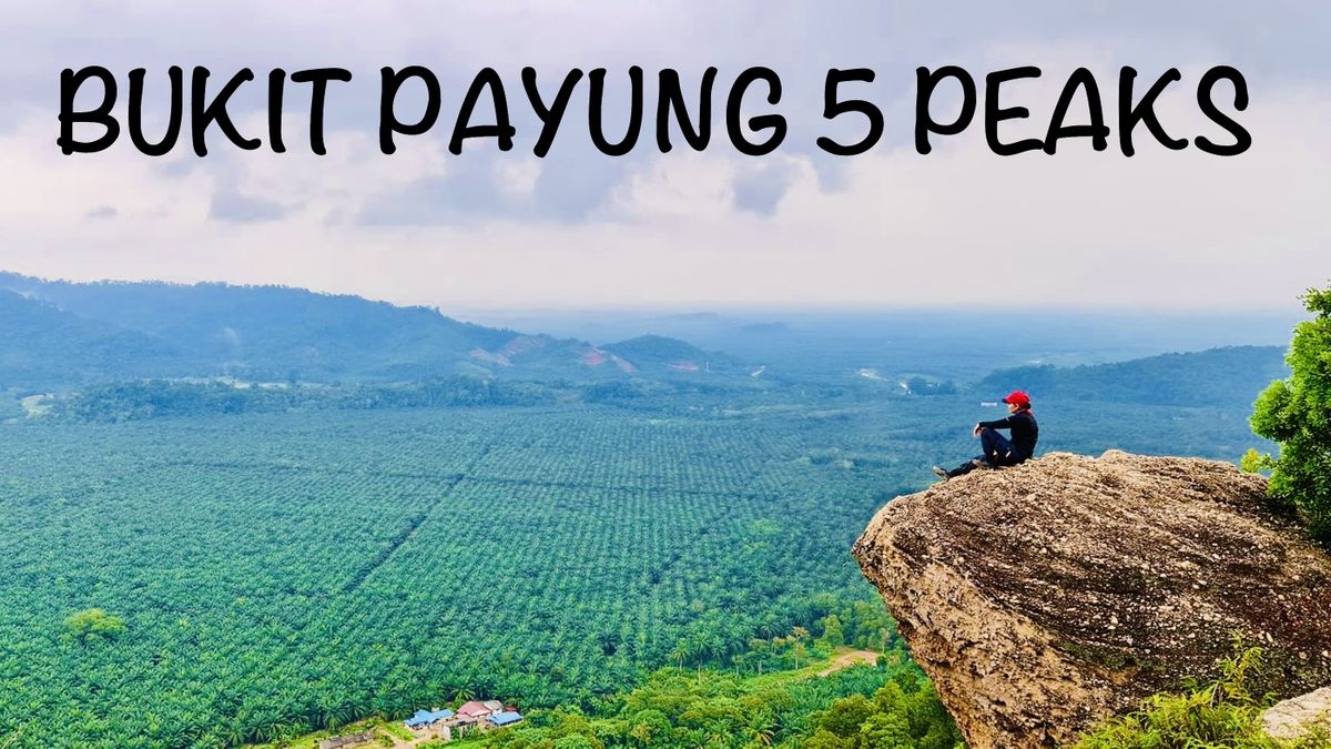 Bukit Payung 5 Peaks <Registration closes 01\/11\/2024>