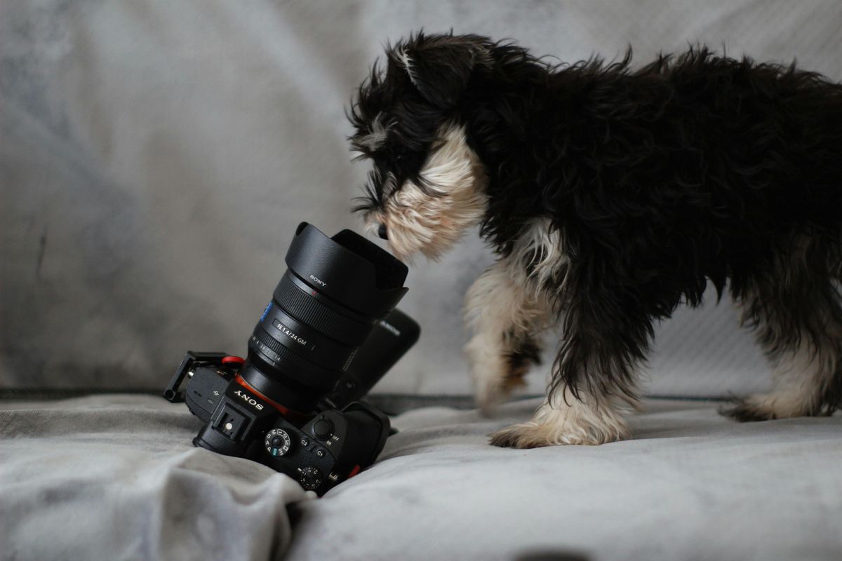 Gratis fotoshoot - Kersteditie