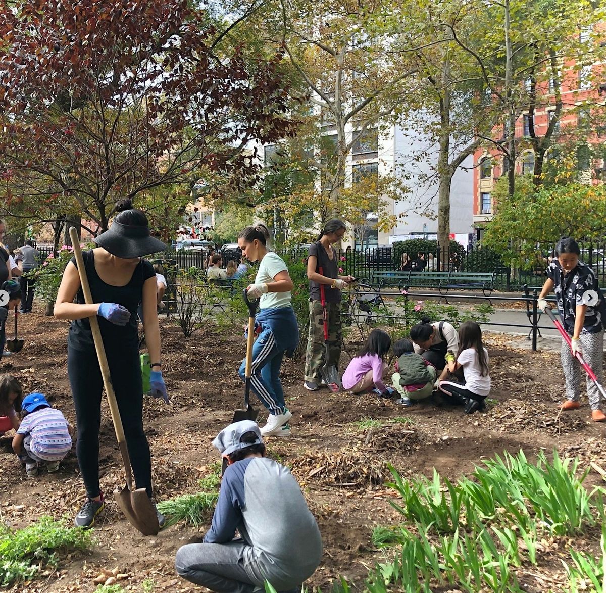 Solarized Seed Starting in Seward: A Master Composter Volunteer Activity