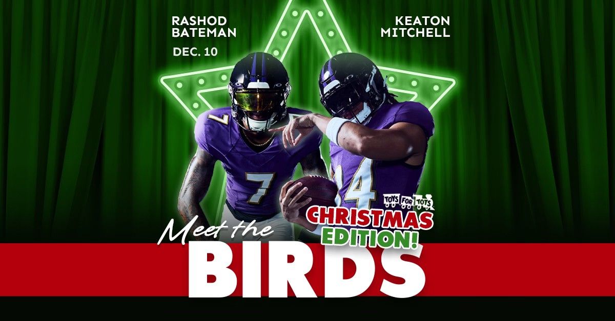 #MeetTheBirds - Christmas Edition