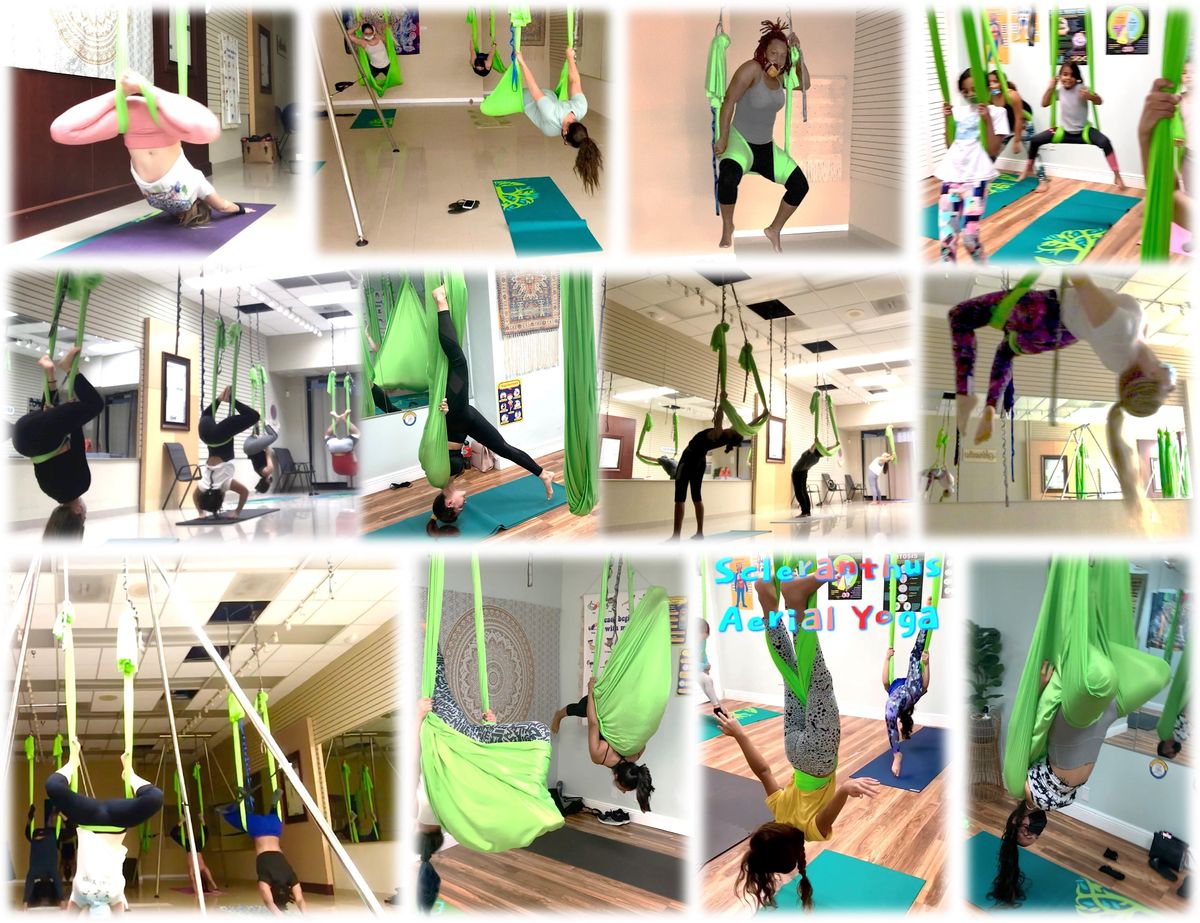 Aerial Yoga Retreat Training Certification with Silks and Hoop Level 1