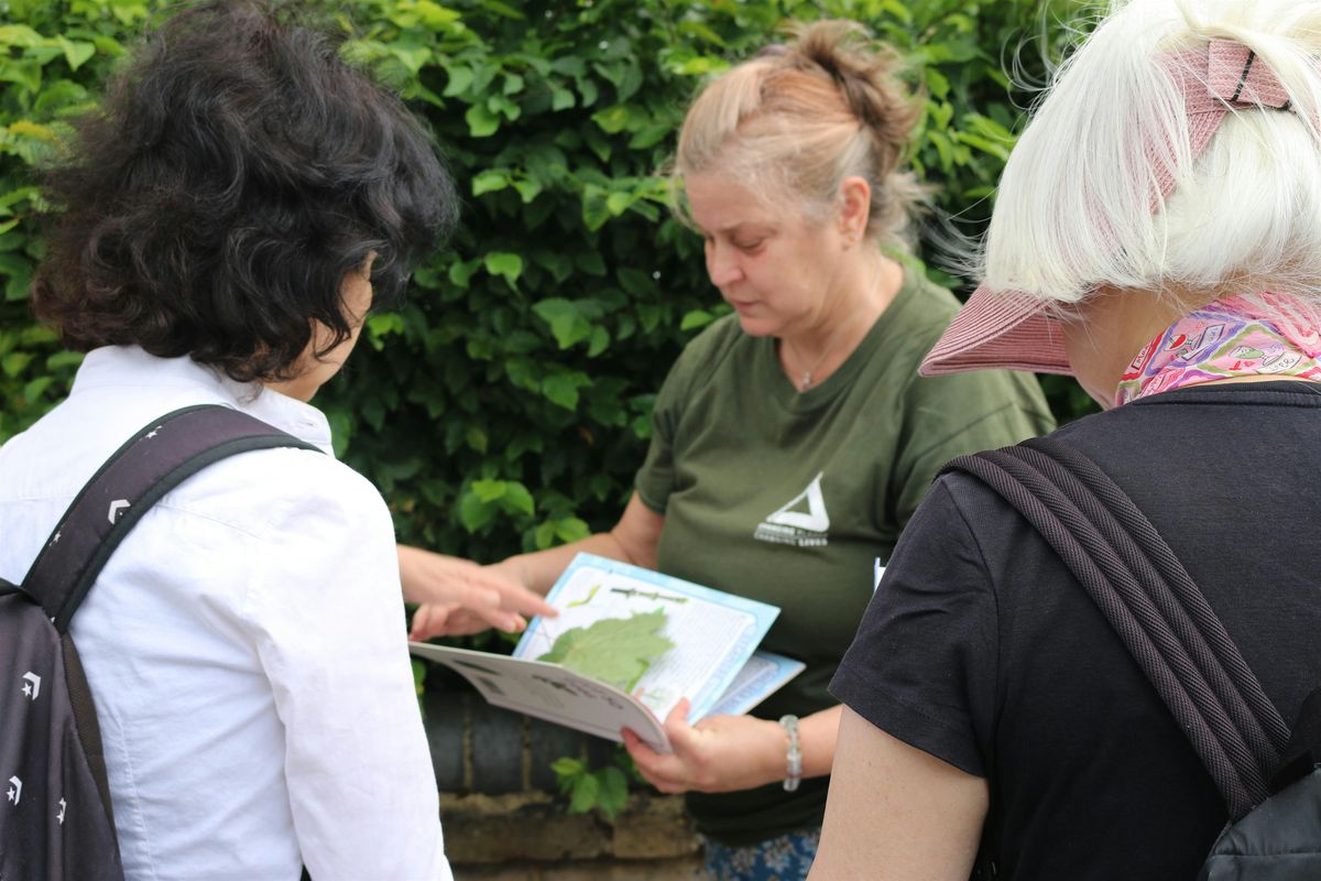 Organising and Recognising Volunteers