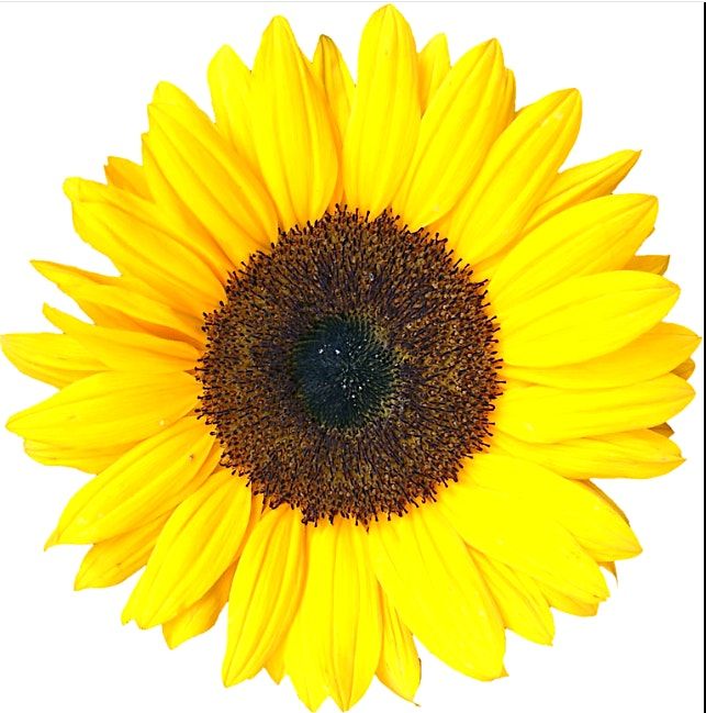A Discussion for Women: Bloom and Breathe