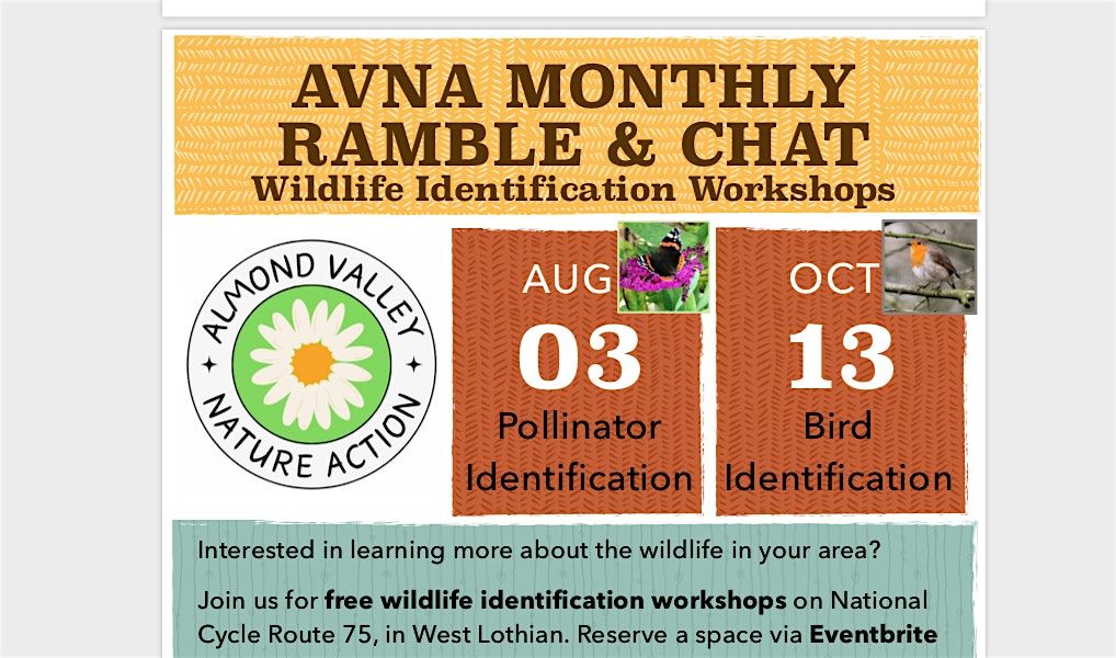 Bird Identification Workshop