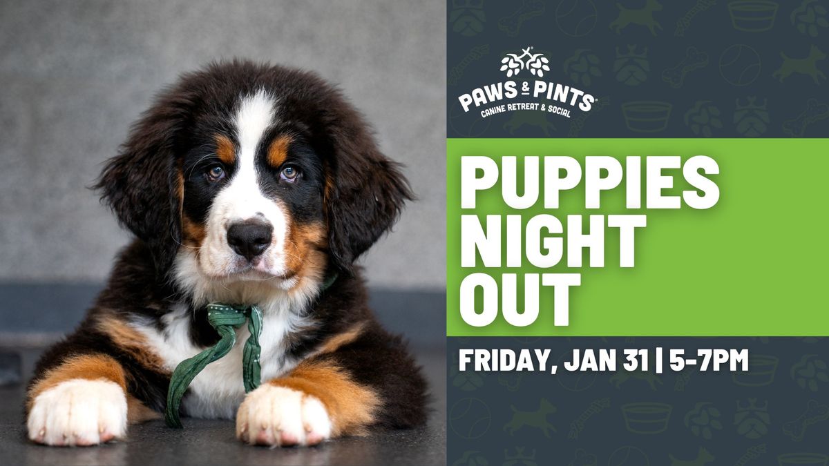 Puppies Night Out