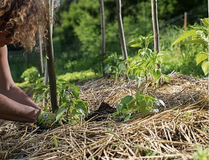 Resilient Gardening for a Changing Climate