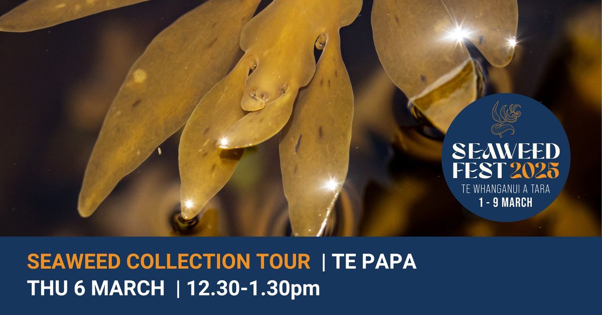 Seaweed Collection Tour | Te Papa