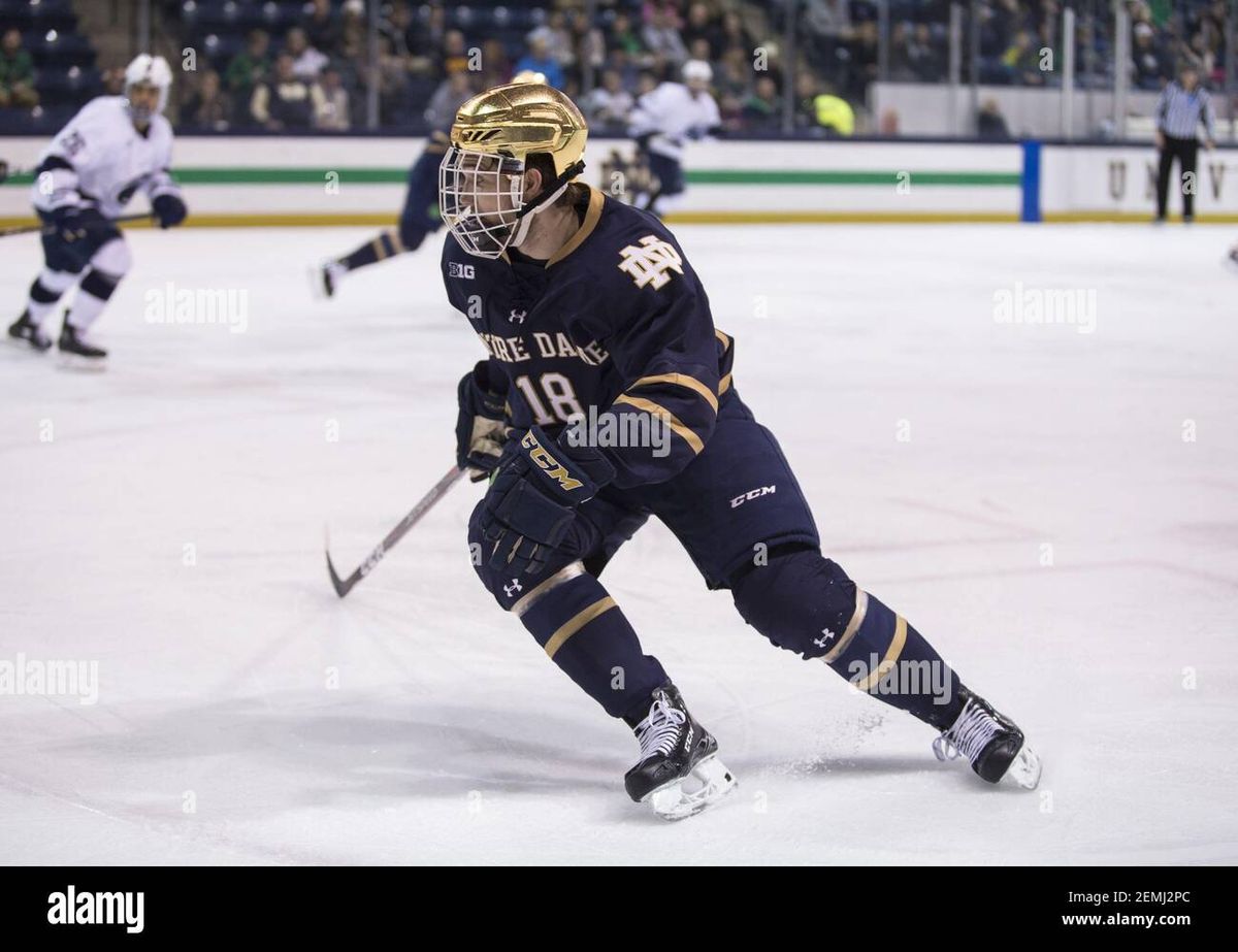 Penn State Nittany Lions at Notre Dame Fighting Irish Hockey