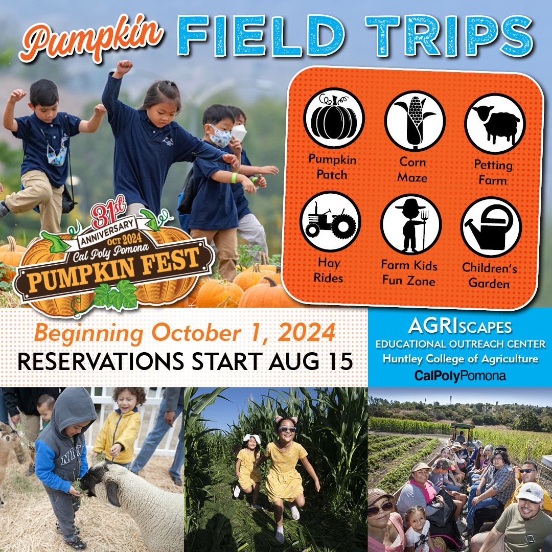 Pumpkin Field Trips