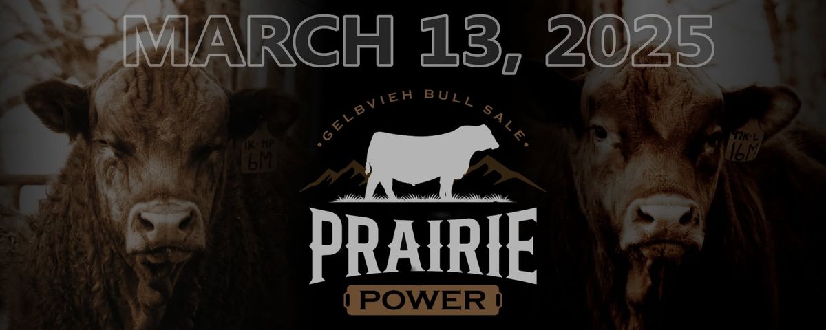 Prairie Power Bull Sale