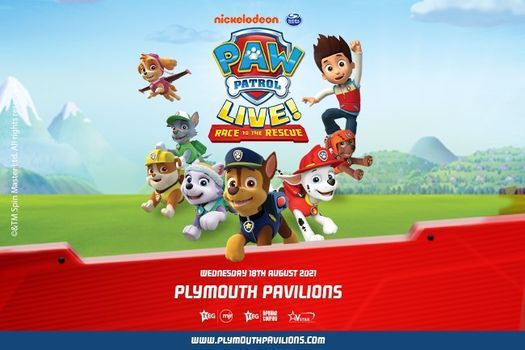 Paw Patrol! Race to the Rescue