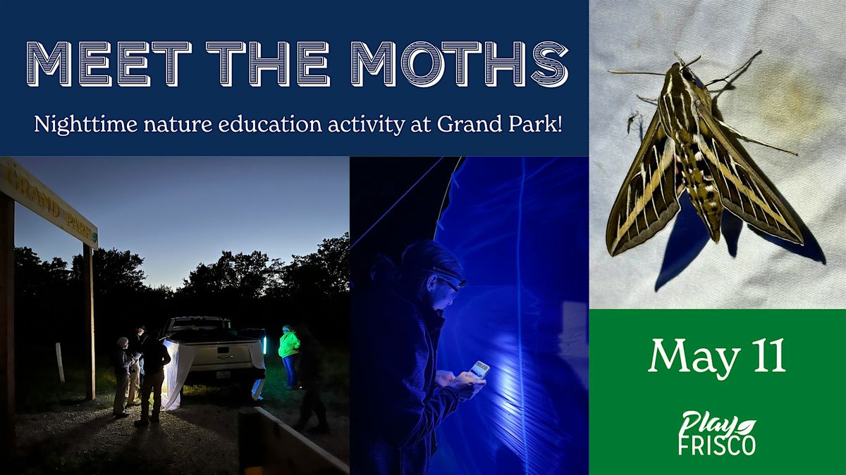 Meet the Moths
