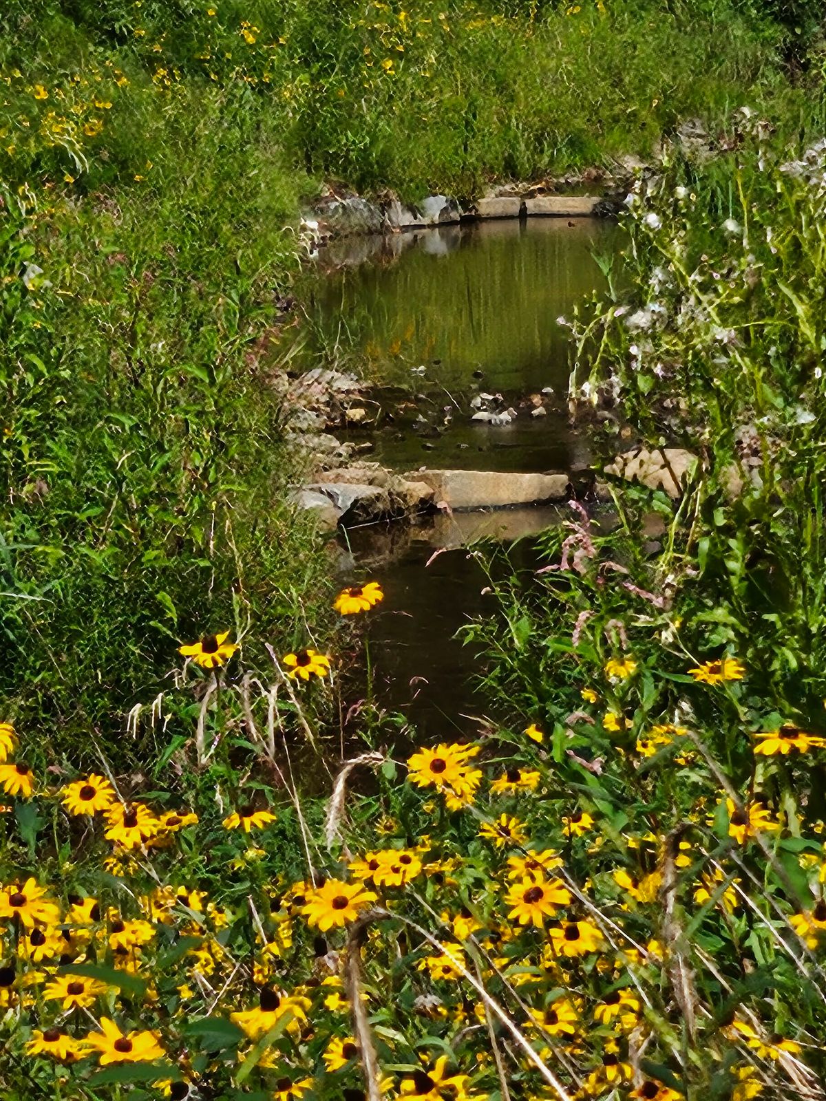 Garden Site Tour