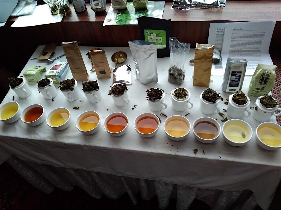 Herbal Tea Tasting