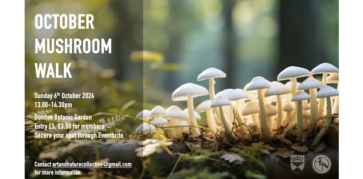 October Mushroom Walk