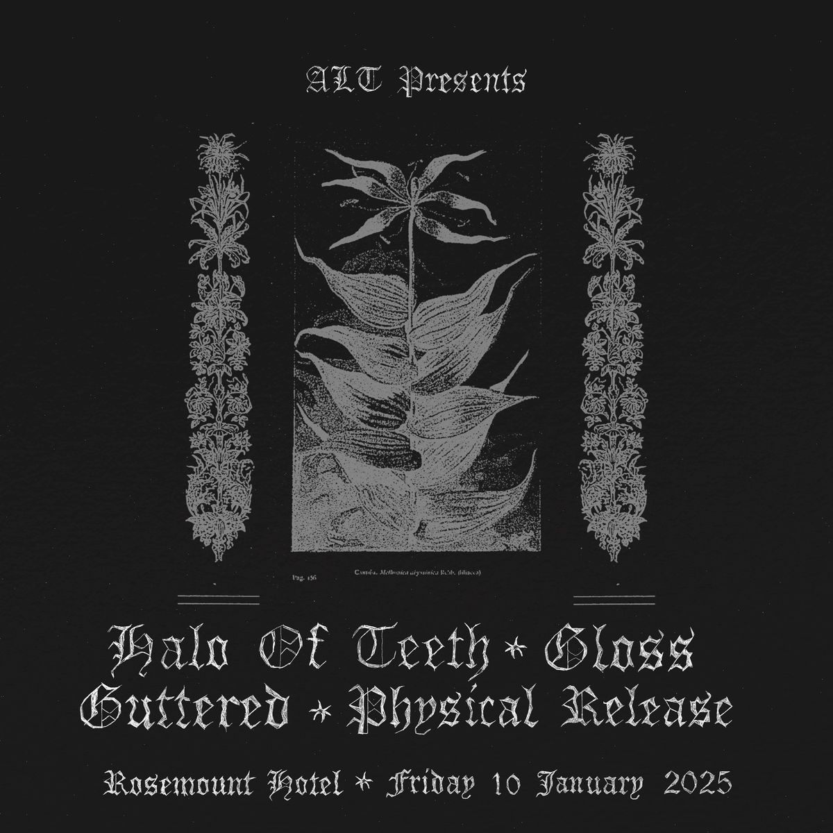 HALO OF TEETH \u2736 GLOSS \u2736 GUTTERED \u2736 PHYSICAL RELEASE @ THE ROSEMOUNT