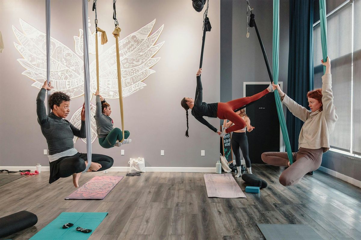 Aerial Yoga Teacher Training FREE Information Session