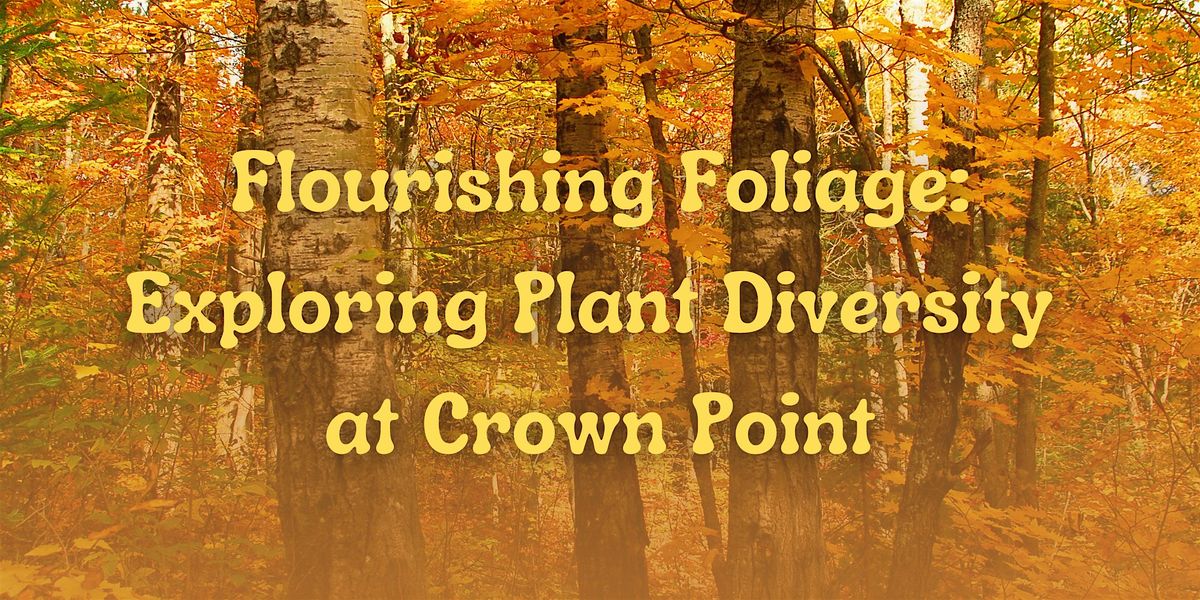 Flourishing Foliage: Exploring Plant Diversity at Crown Point