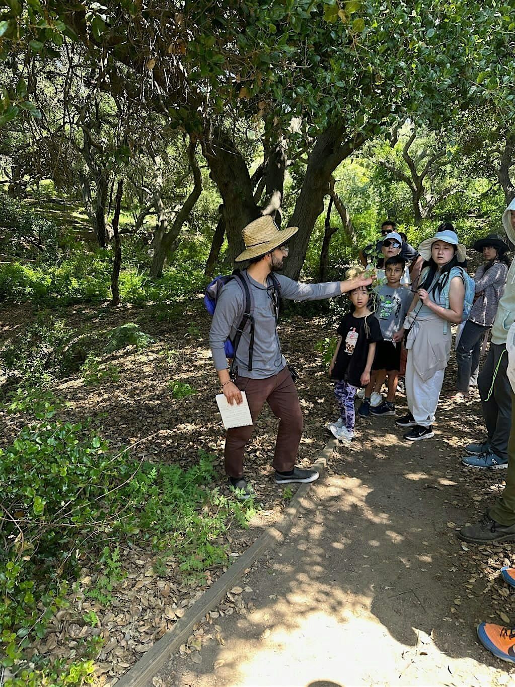 Let's Forage Plants & Fungi- Guided Nature Walk in Pasadena (Guest Speaker)
