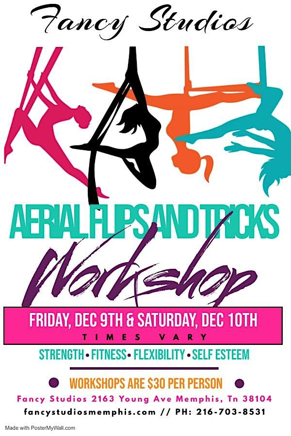 Aerial Flips & Tricks Workshop