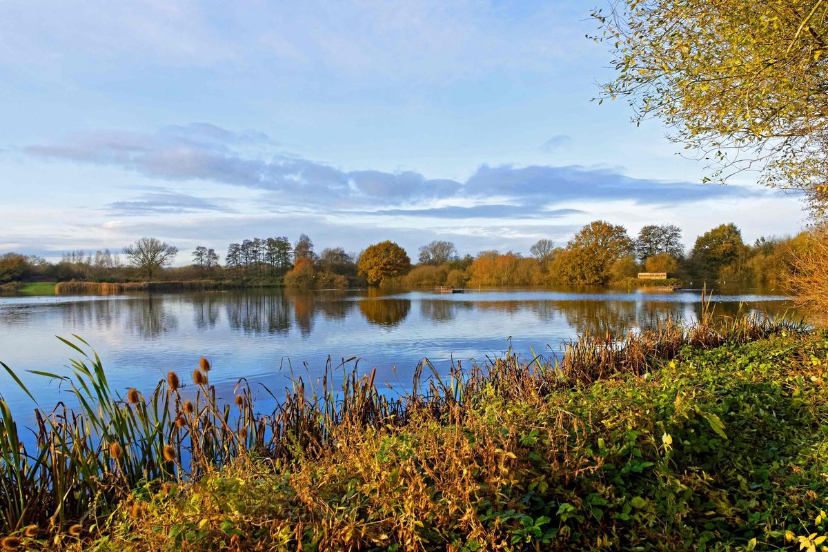 Member event - Guided Walk around Brandon Marsh Nature Reserve