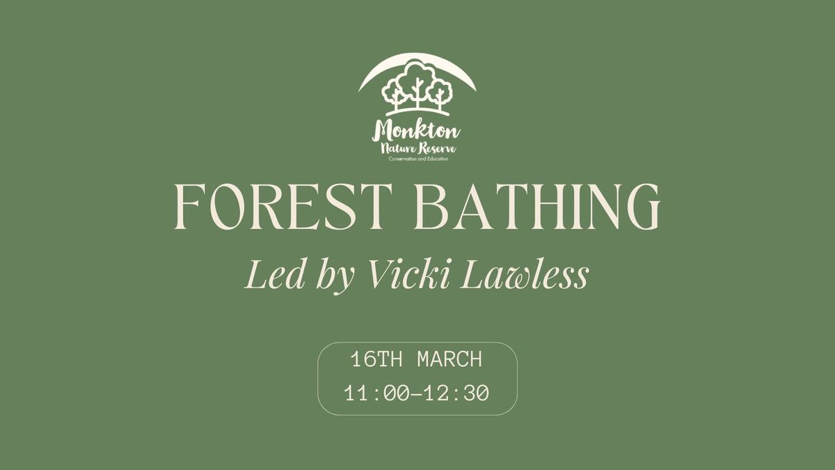 Forest Bathing with Vicki Lawless