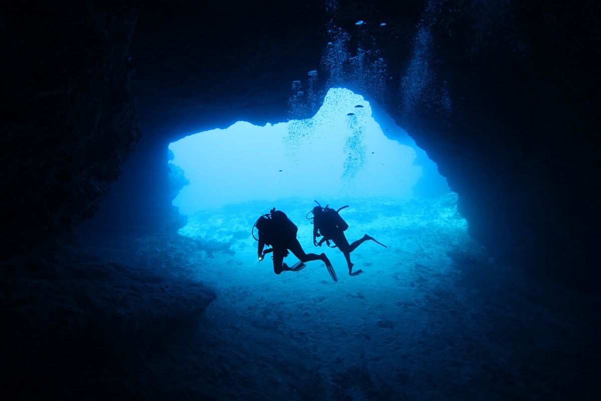 NZ Dolphin Underwater & Adventure Club's 70th Anniversary