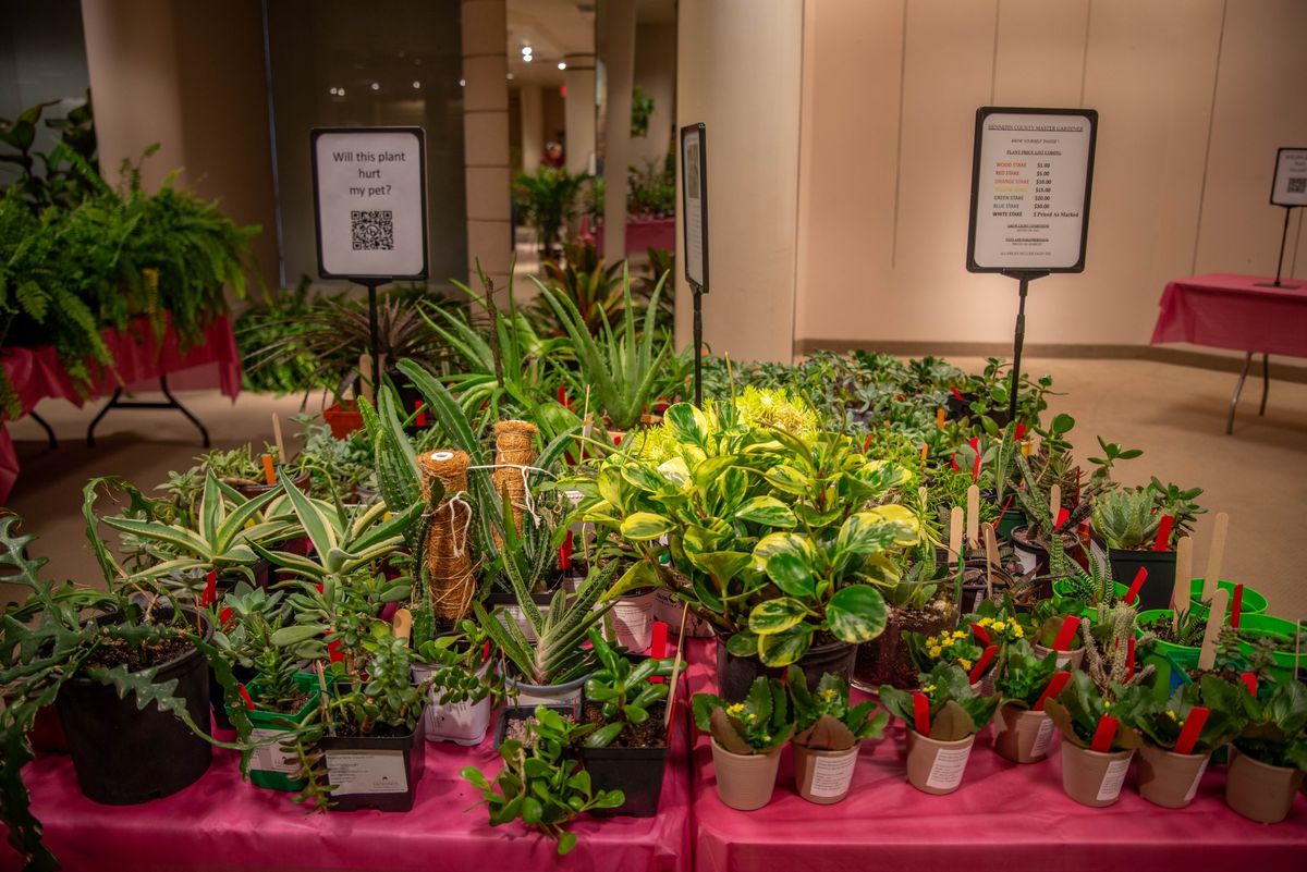 Annual Houseplant Sale