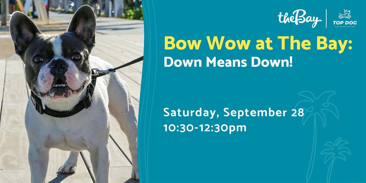 Bow Wow at The Bay: Down Means Down!