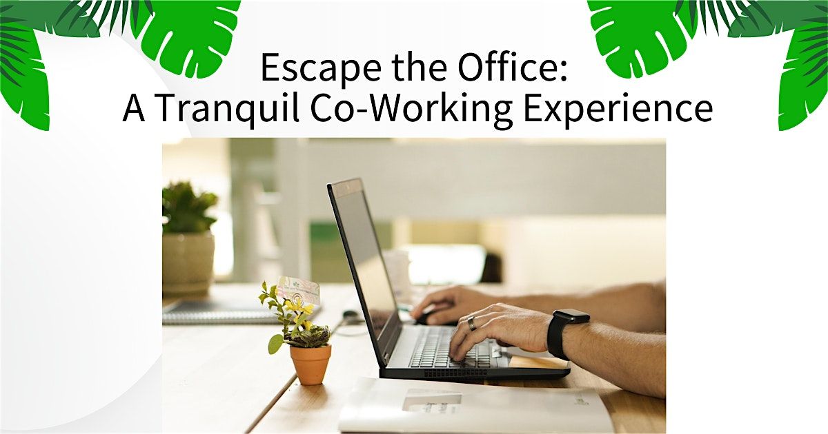 Escape the Office: A Tranquil Co-Working Experience