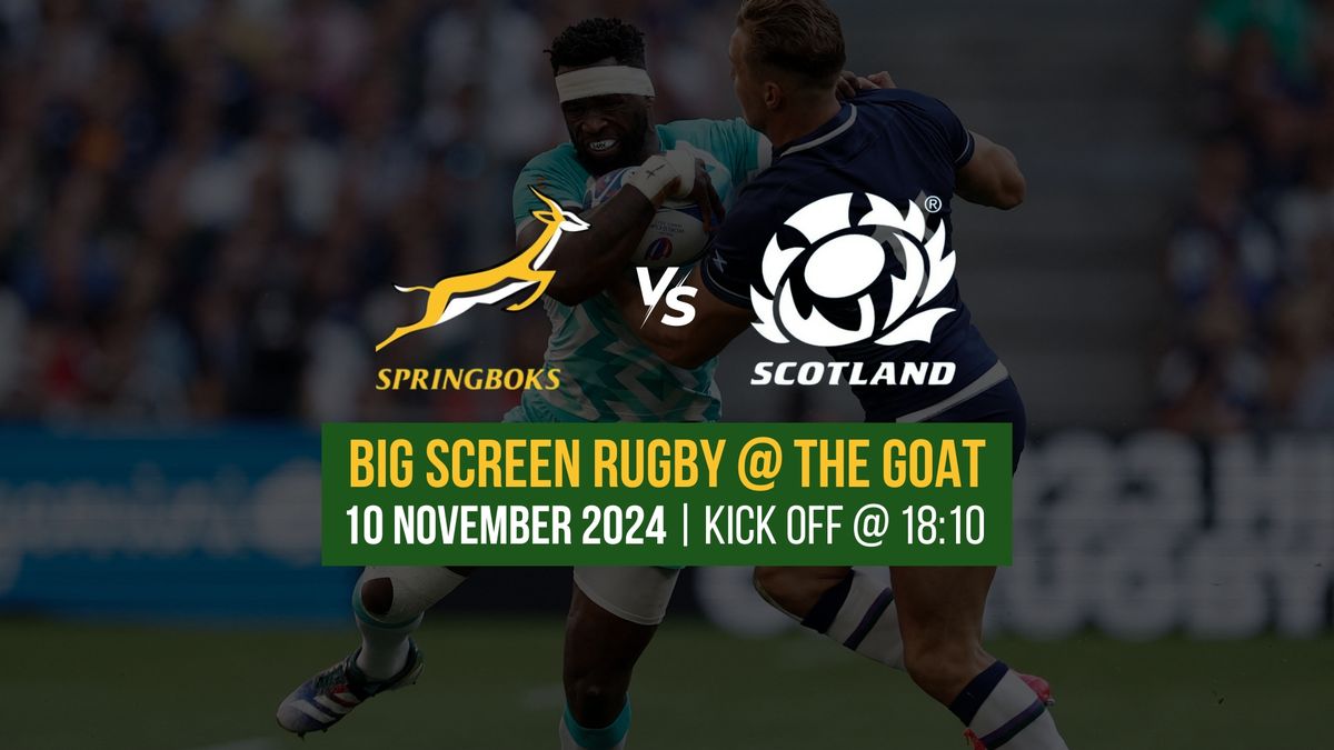 Springboks VS Scotland