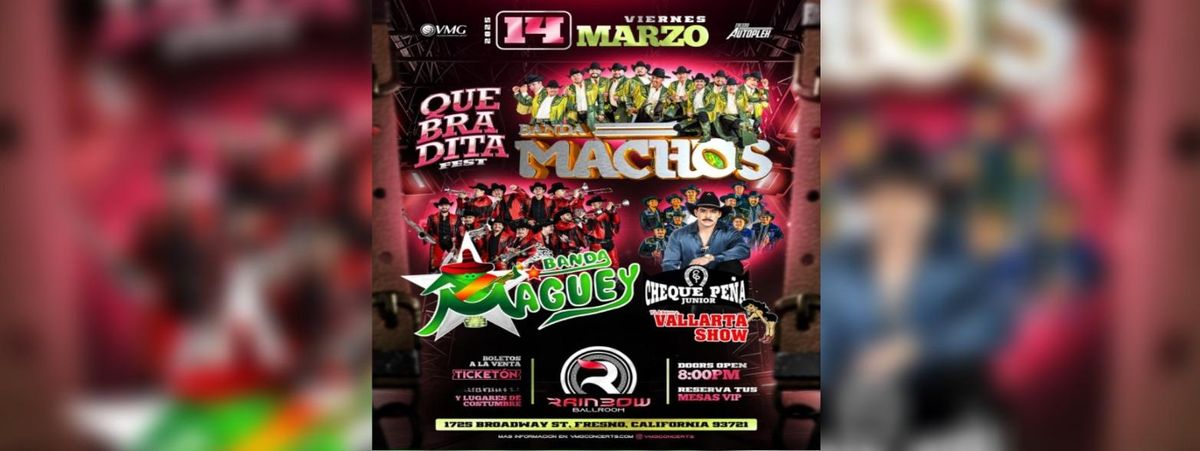 BANDA MACHOS, BANDA MAGUEY & MAS EN FRESNO