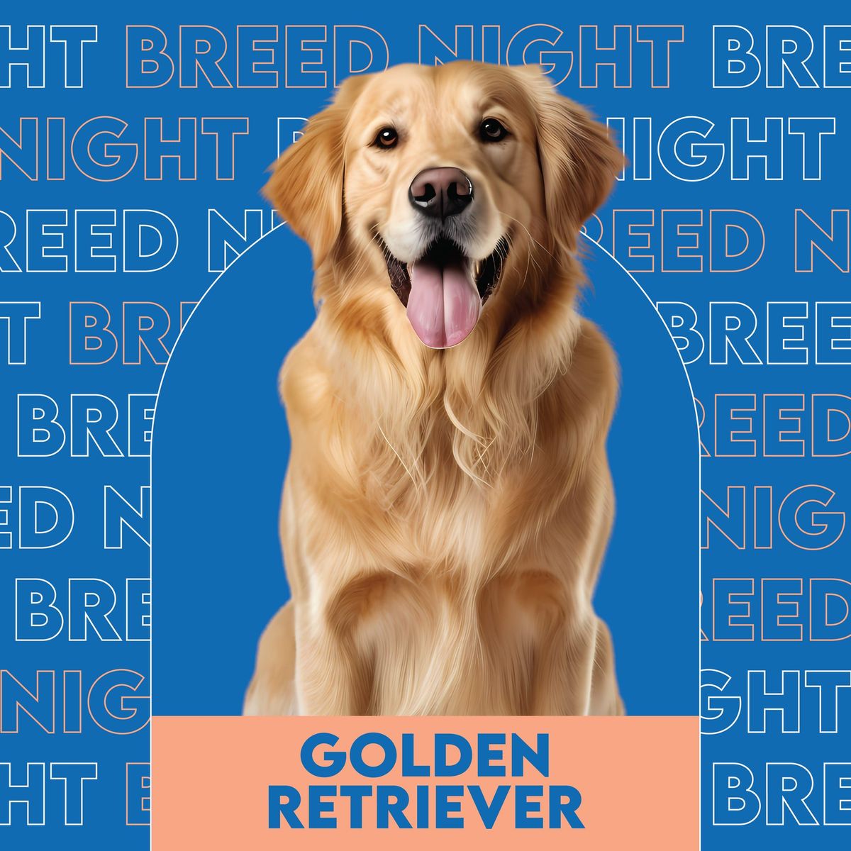 Golden Retriever Breed Night