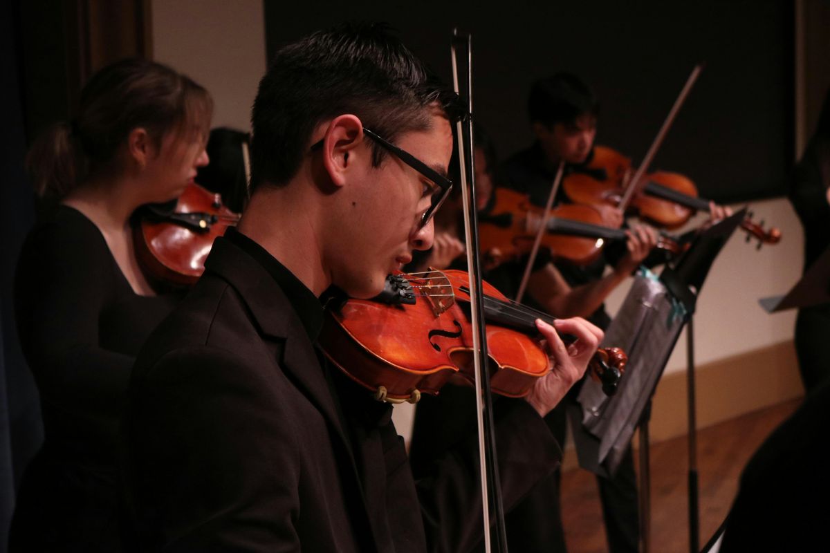 USD Strings | Winter Salon