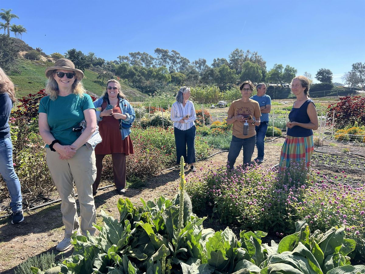 Floral Affair: Tea, Tour and Flower Gleaning on the Farm