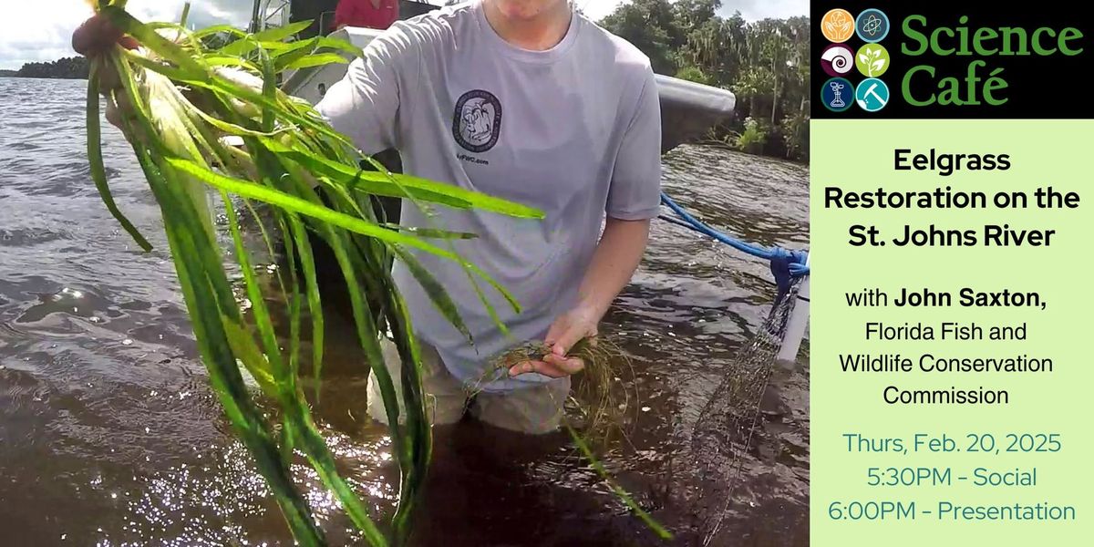 Science Cafe - Eelgrass on the St. Johns River